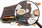 Organized wallet with money and cards